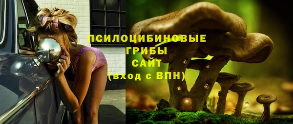 экстази Покачи