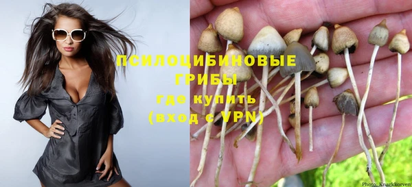 кокаин Алексеевка